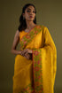 Hampi Handwoven Organza Saree