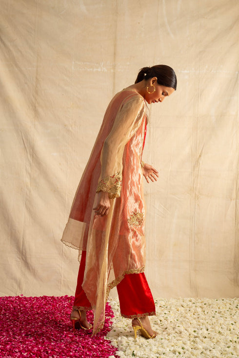 Tarini Suit Set in Red