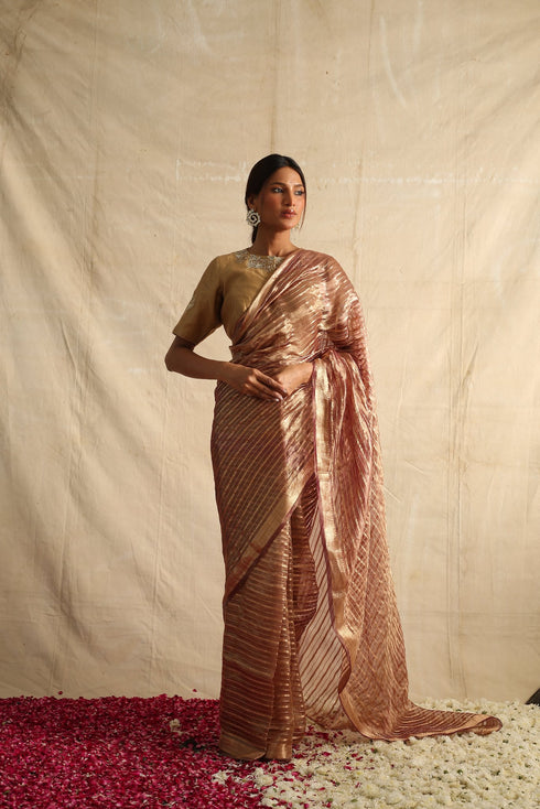 Meghna Tissue Saree in Brown