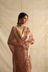Meghna Tissue Saree in Brown