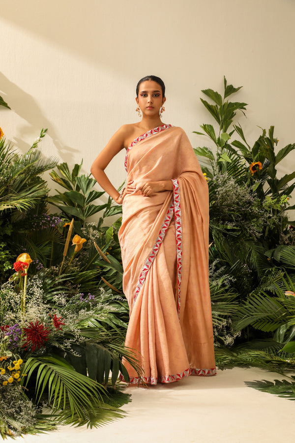 Noorani-Leena Saree