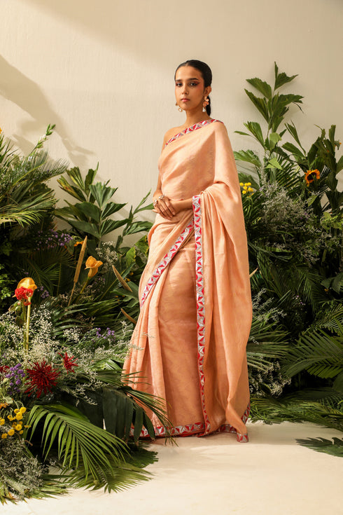 Noorani-Leena Saree