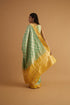 Jhansi Handwoven Organza Saree