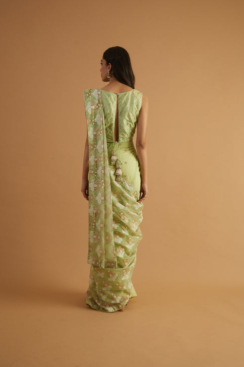 Dahlia Embroidered Skirt Drape Saree