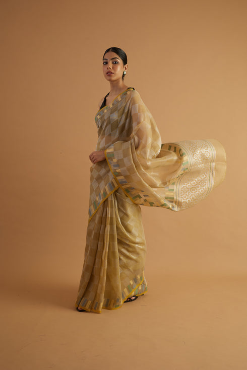 Yamuna Organza Saree