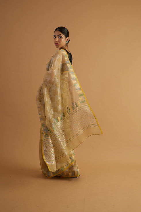 Yamuna Organza Saree