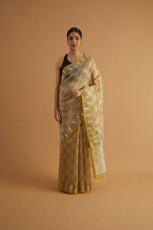 Yamuna Organza Saree