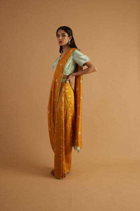 Calendula Silk Drape Saree