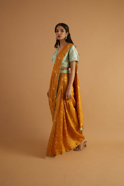 Calendula Silk Drape Saree