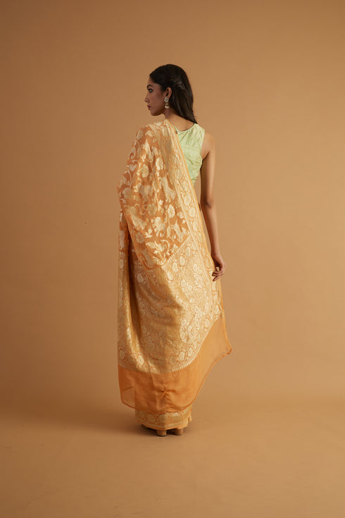Aror Handwoven Shikargah Saree