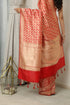Dishani Saree