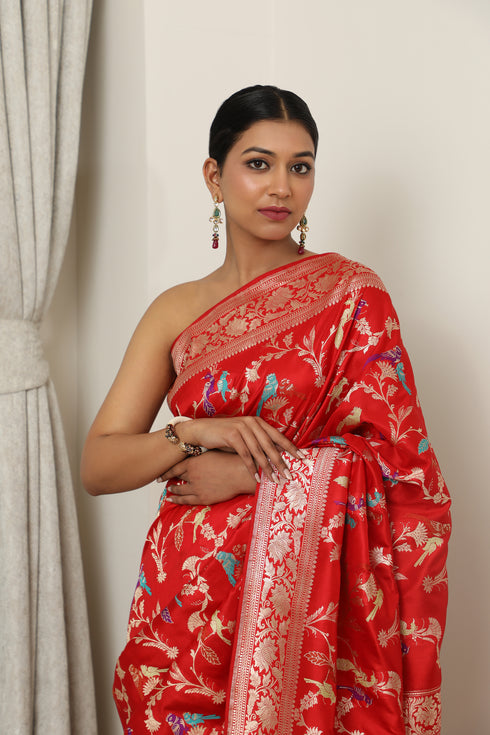 Rudr Saree