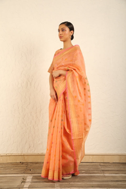 Rashi Saree