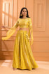 Amber Embroidered Lehenga Set